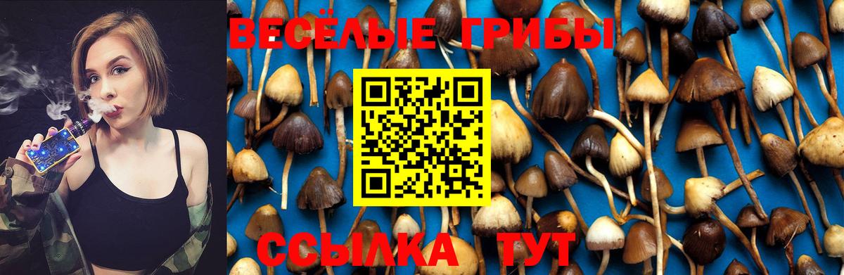 Галлюциногенные грибы Psilocybe  Вход с VPN  купить   Псилоцибиновые грибы мухоморы  Узловая 
